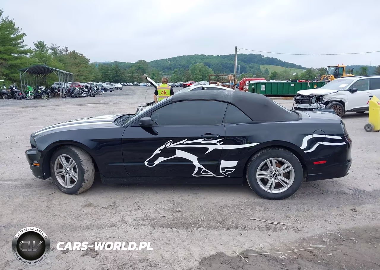 2014 Ford Mustang V6-V6 Premium VIN:1ZVBP8EM3E5240410 - 15