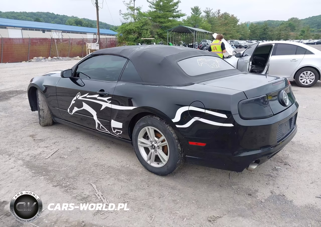 2014 Ford Mustang V6-V6 Premium VIN:1ZVBP8EM3E5240410 - 3