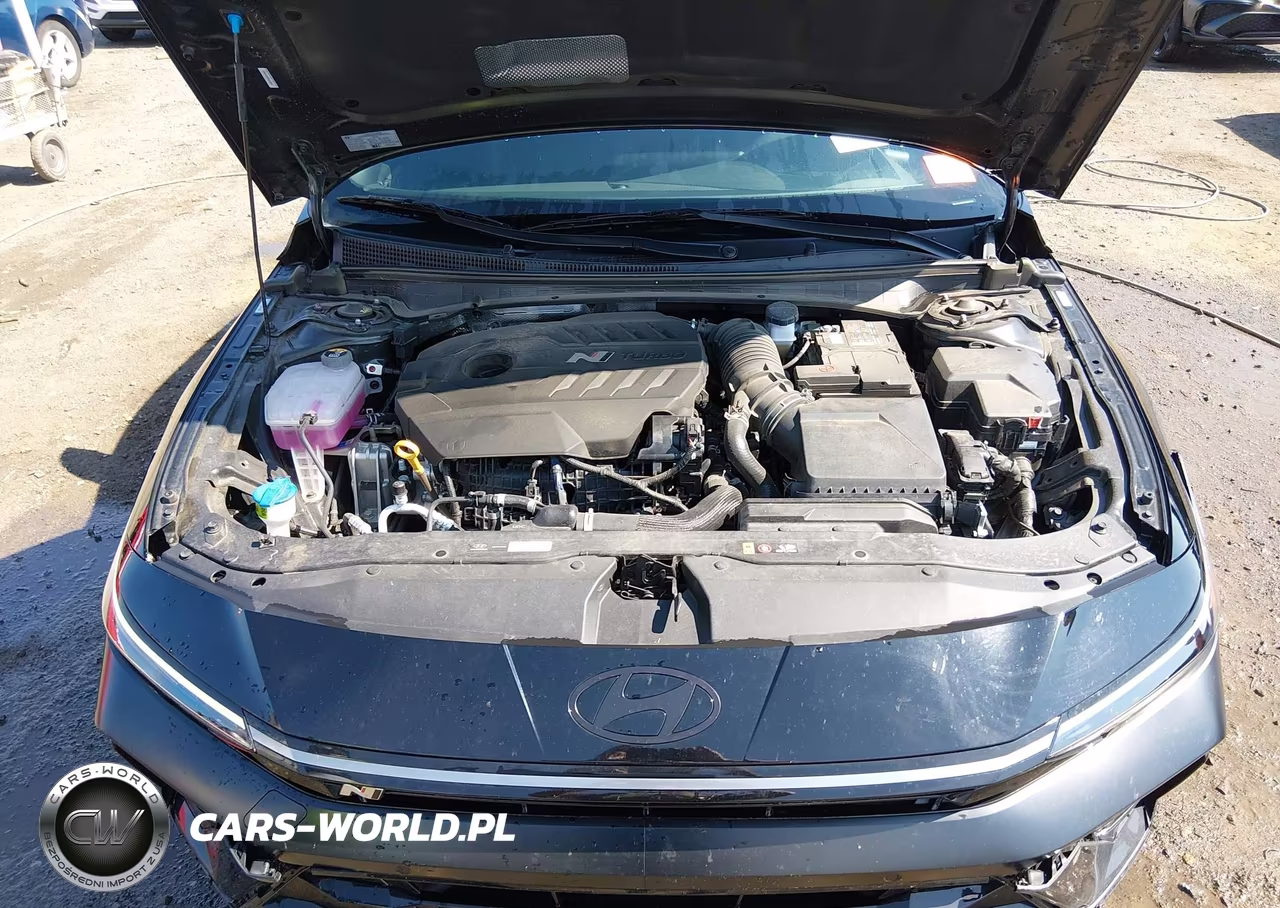 2025 Hyundai Elantra N VIN:KMHLW4DK2SU032969 - 10