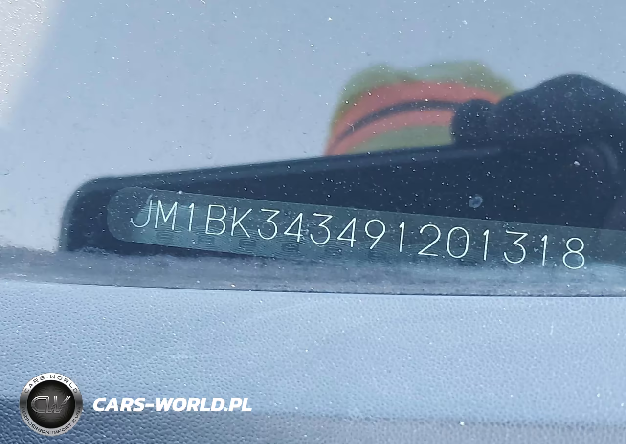 2009 Mazda Mazda3 S Sport VIN:JM1BK343491201318 - 9