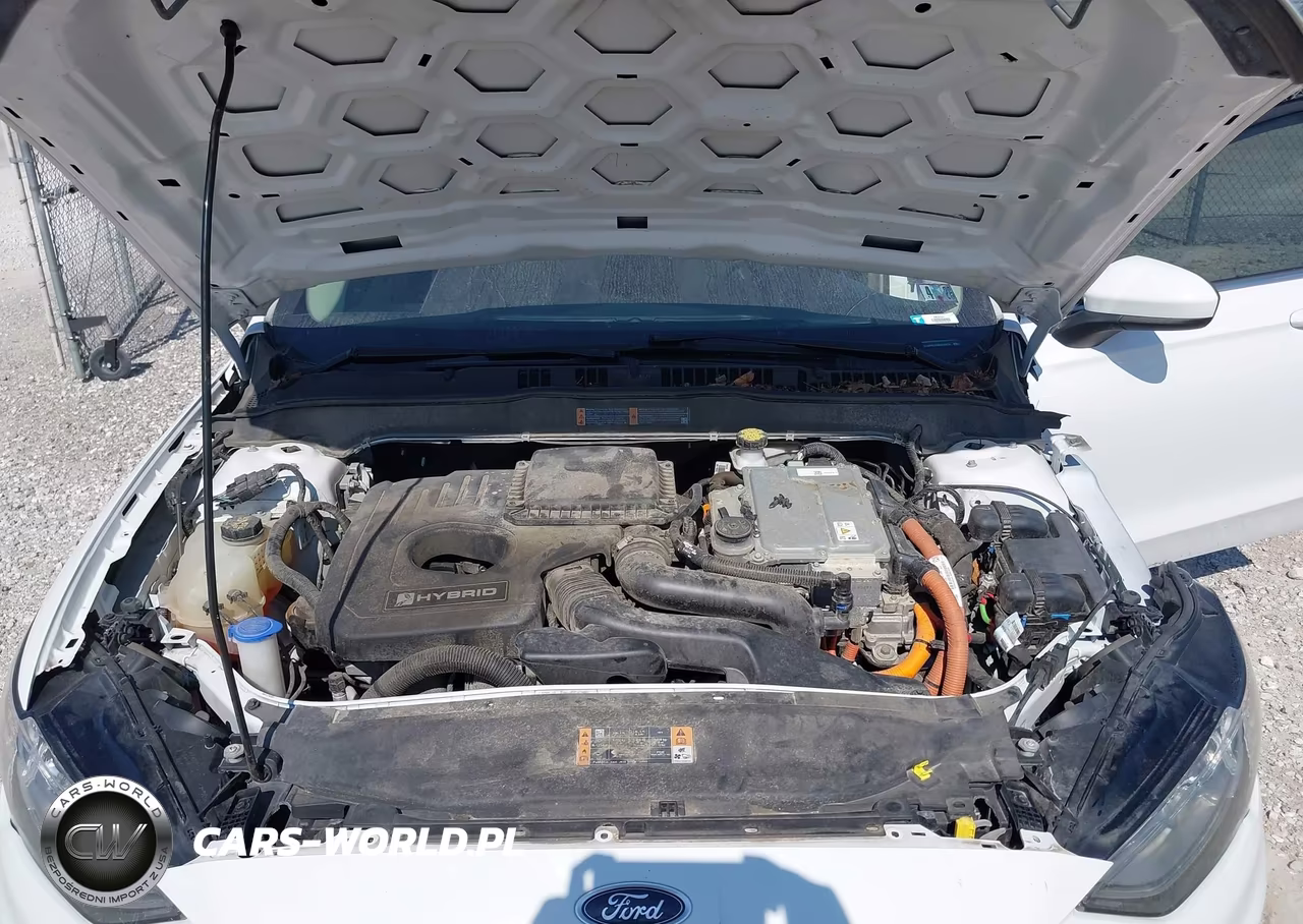 2019 Ford Fusion Hybrid Se VIN:3FA6P0LU3KR220276 - 10