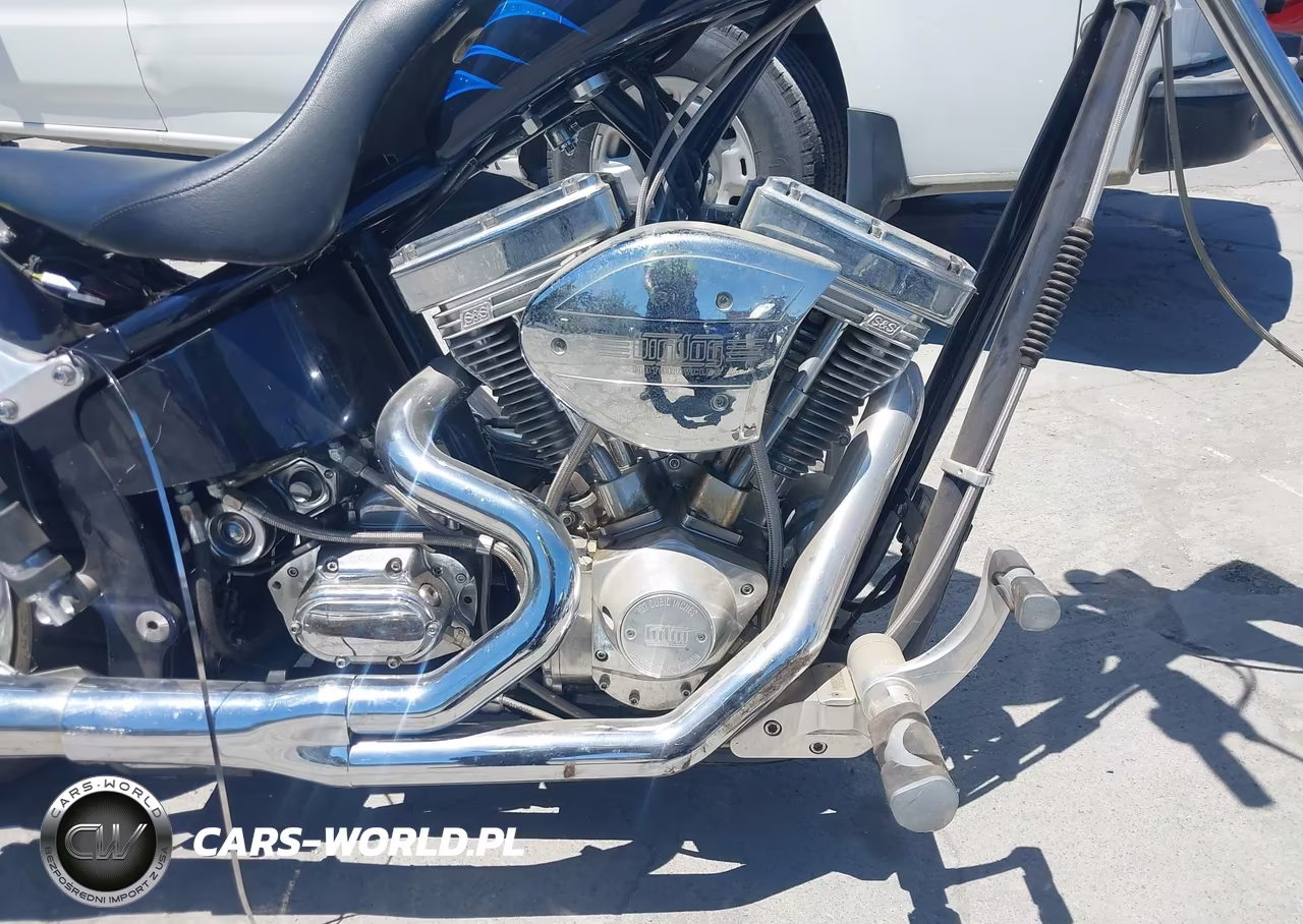 2004 Big Dog Chopper VIN:5J11NBJ114W001086 - 8