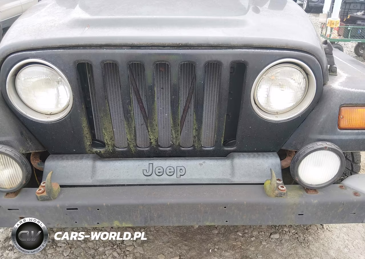 1997 Jeep Wrangler Sahara VIN:1J4FY49S5VP543979 - 17