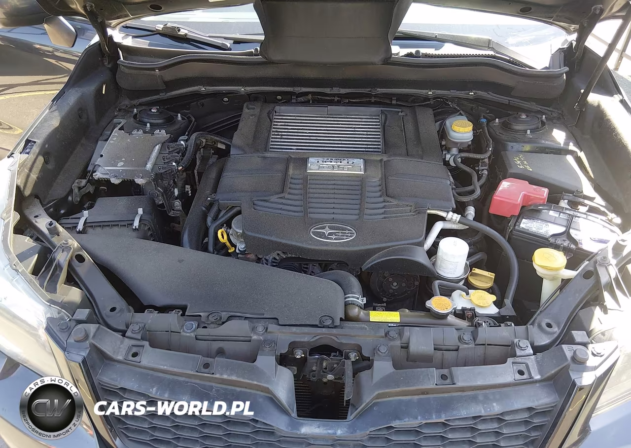 2016 Subaru Forester 2.0Xt Premium VIN:JF2SJGDC6GH467312 - 10