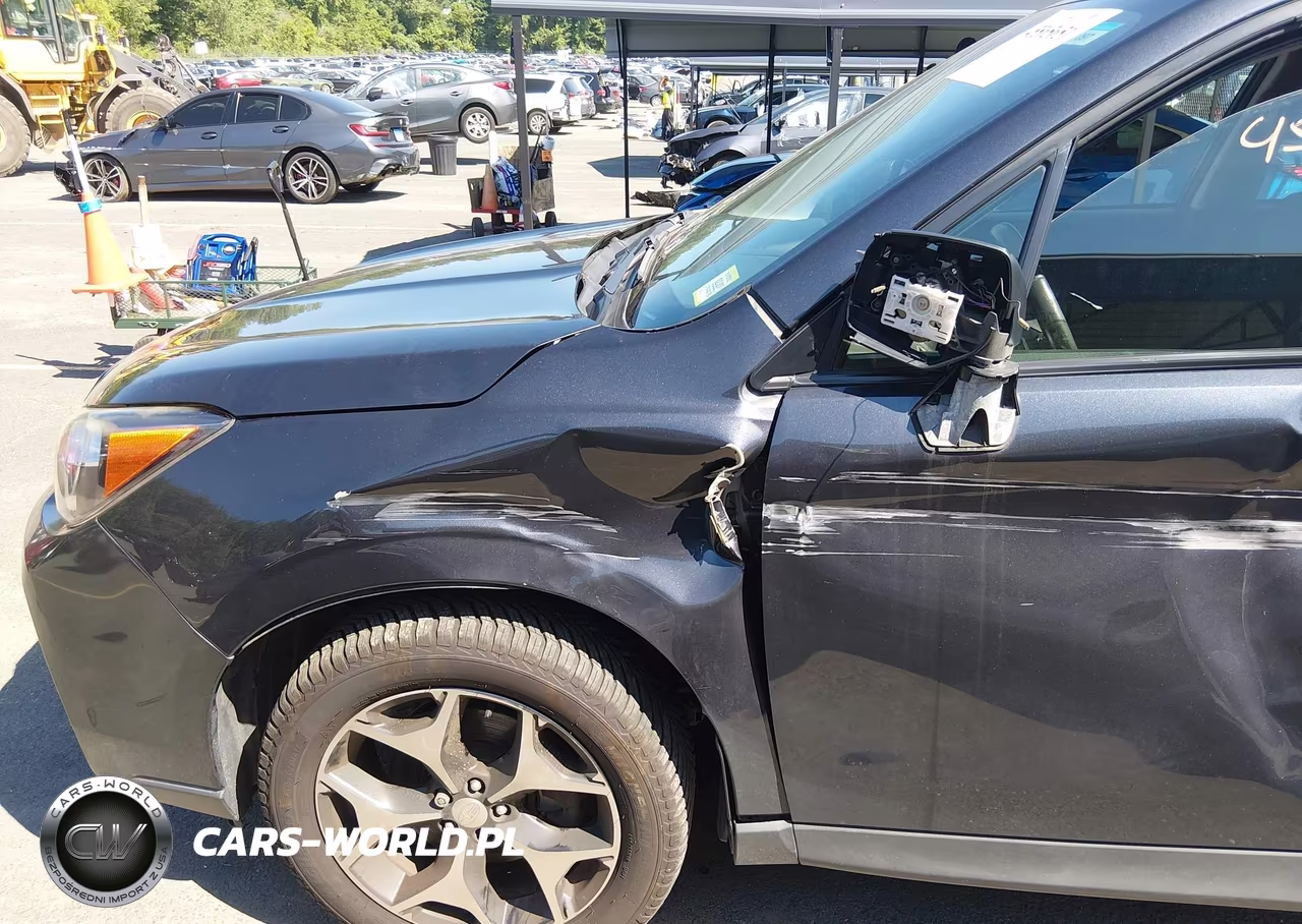 2016 Subaru Forester 2.0Xt Premium VIN:JF2SJGDC6GH467312 - 6