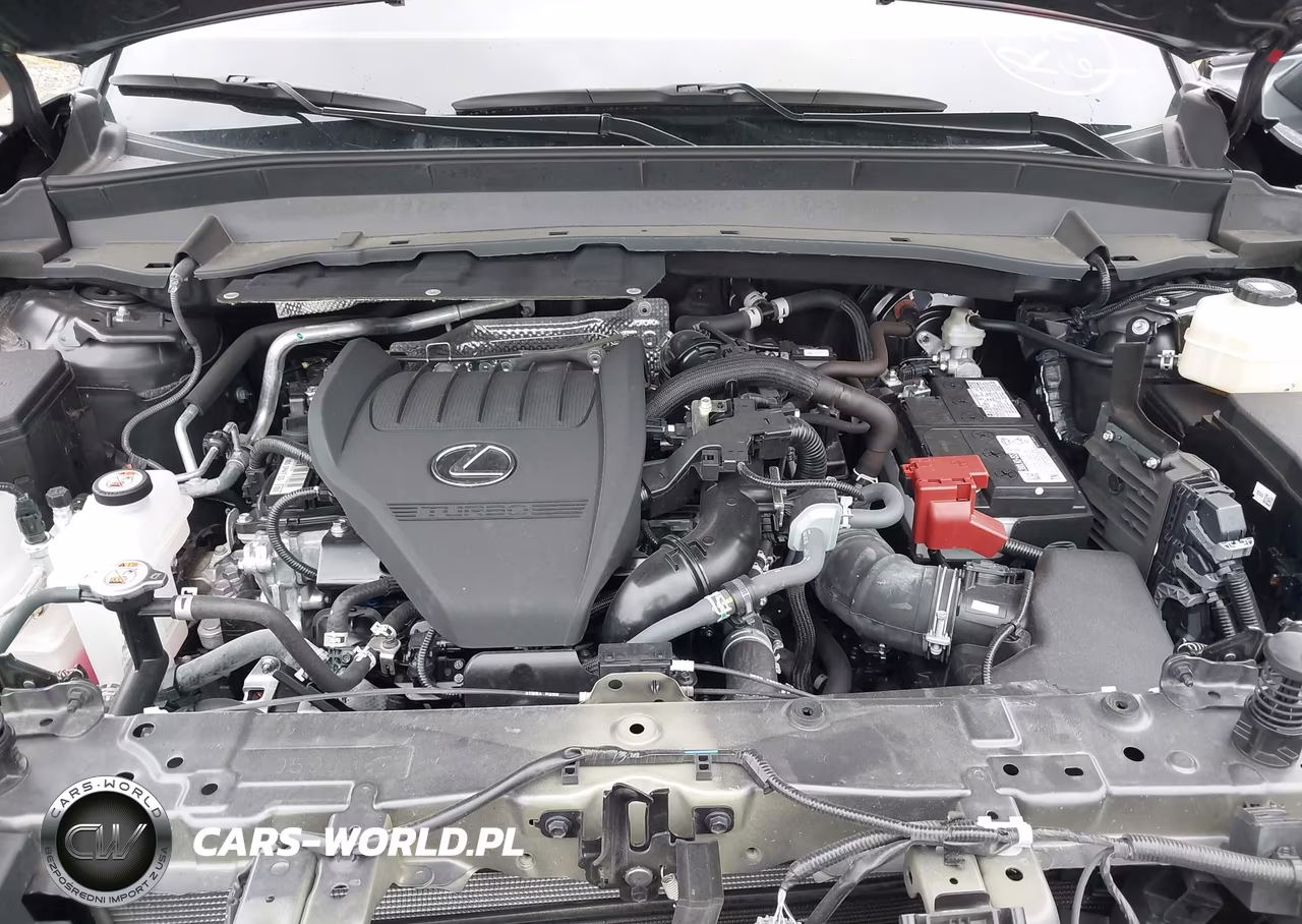 2024 Lexus Tx 350 Premium VIN:5TDAAAB66RS013189 - 10