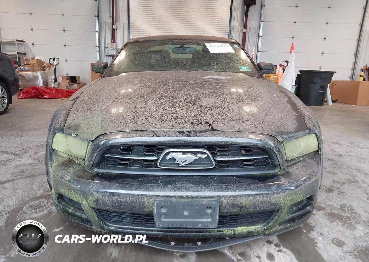 2013 Ford Mustang V6 Premium VIN:1ZVBP8AM7D5222920 - 12