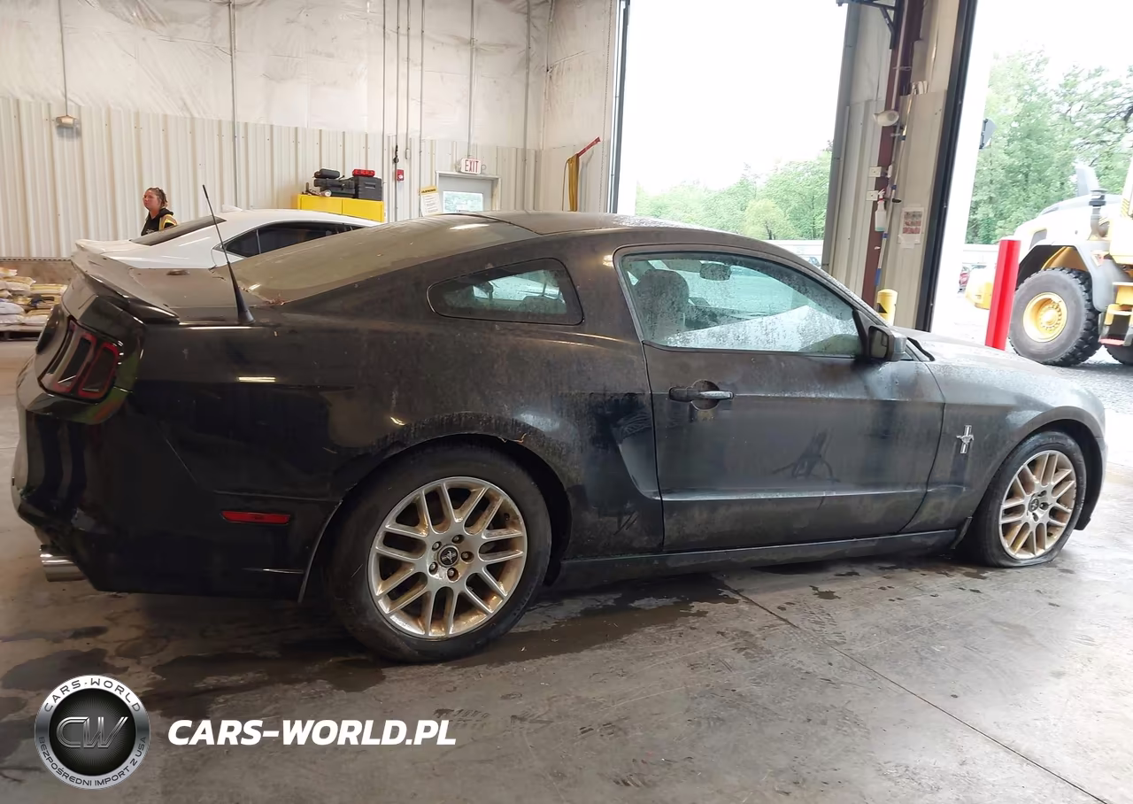 2013 Ford Mustang V6 Premium VIN:1ZVBP8AM7D5222920 - 13