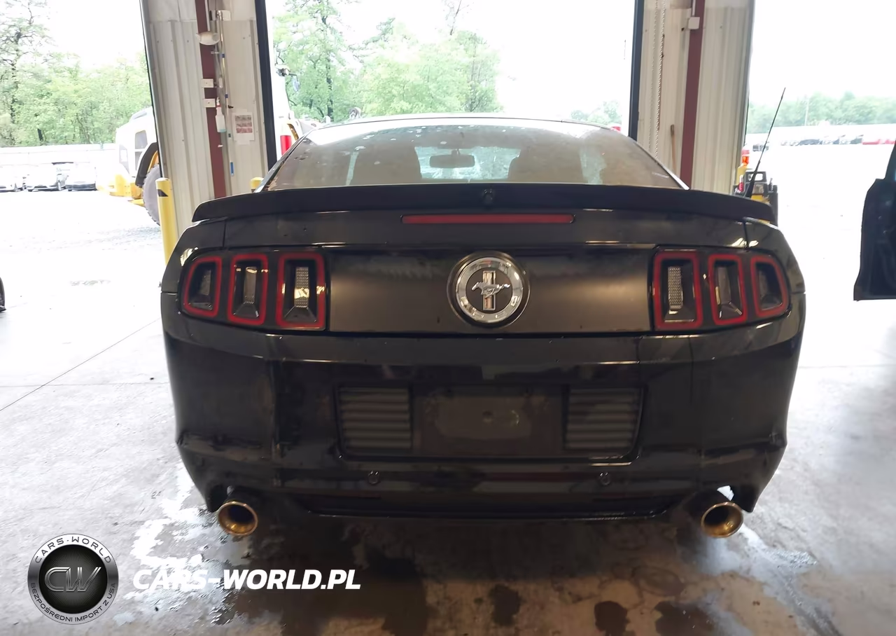 2013 Ford Mustang V6 Premium VIN:1ZVBP8AM7D5222920 - 16