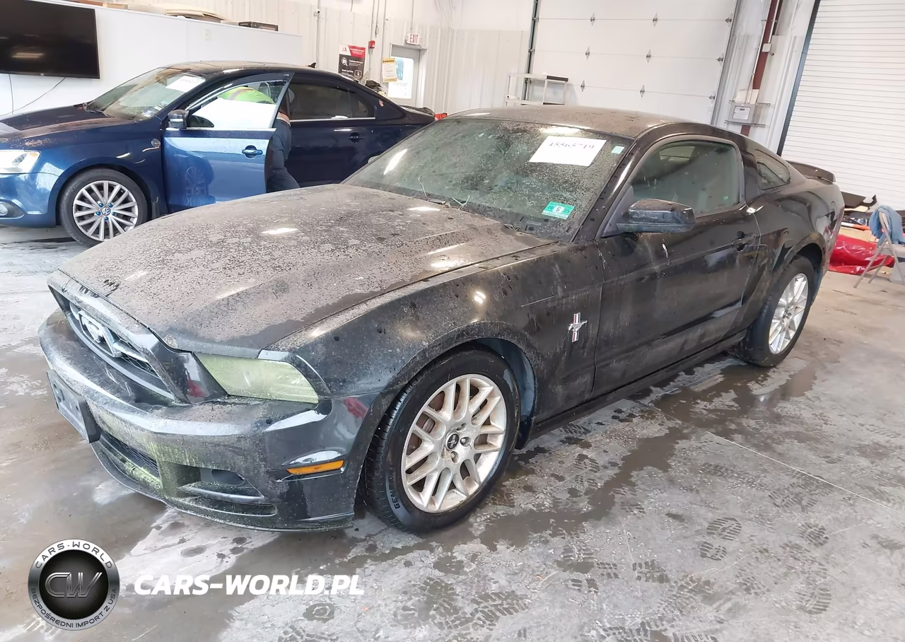 2013 Ford Mustang V6 Premium VIN:1ZVBP8AM7D5222920 - 2