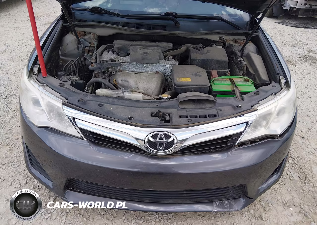 2014 Toyota Camry Le VIN:4T1BF1FK7EU354843 - 10