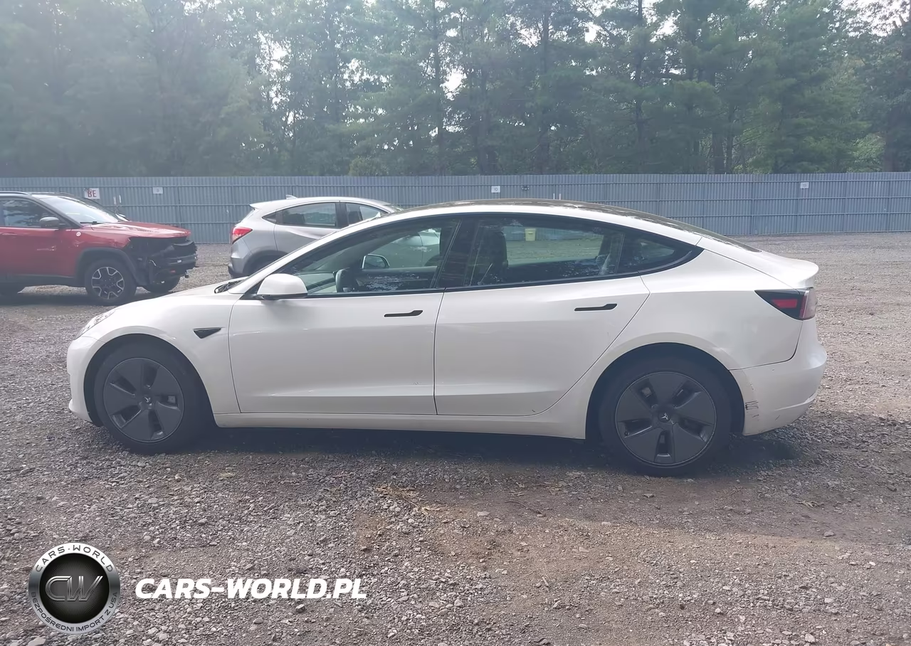 2023 Tesla Model 3 Rear-Wheel Drive VIN:5YJ3E1EA7PF508631 - 14