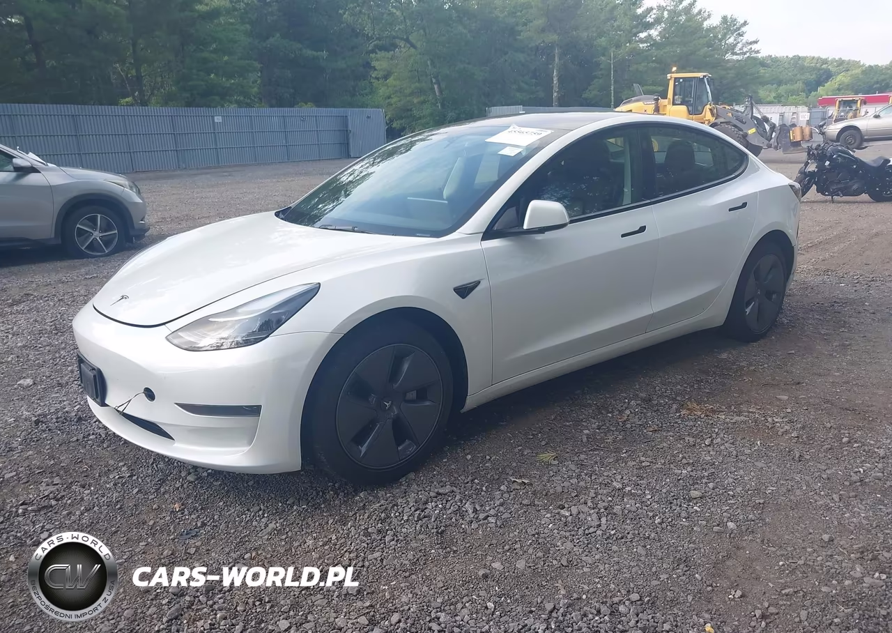 2023 Tesla Model 3 Rear-Wheel Drive VIN:5YJ3E1EA7PF508631 - 2