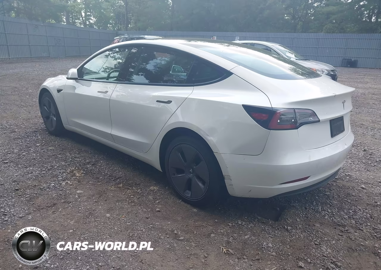 2023 Tesla Model 3 Rear-Wheel Drive VIN:5YJ3E1EA7PF508631 - 3
