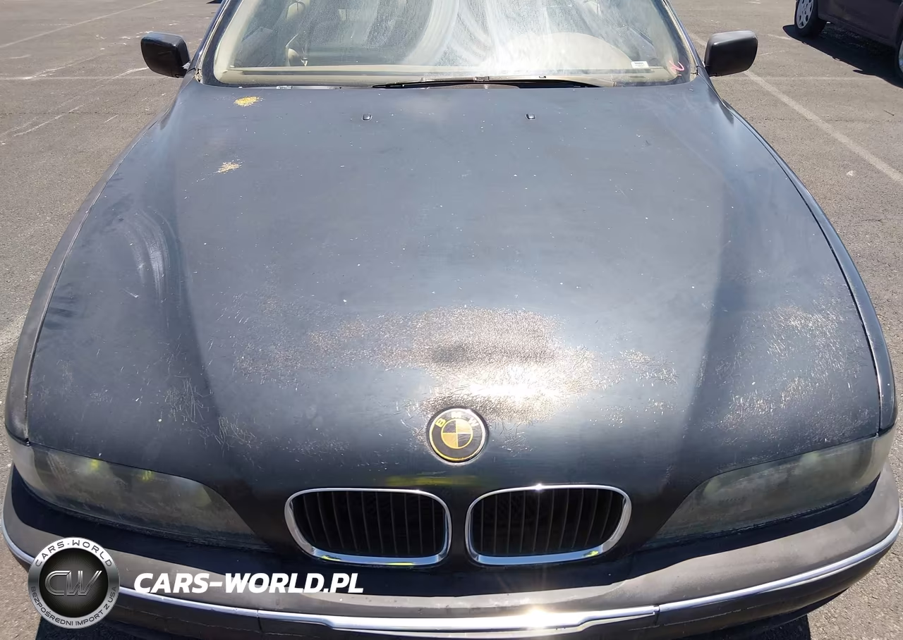 1999 BMW 528Ia VIN:WBADM6334XBY24948 - 15