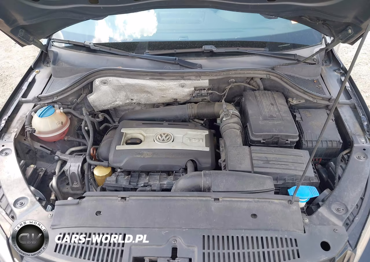 2013 Volkswagen Tiguan Se VIN:WVGAV7AX5DW523345 - 10