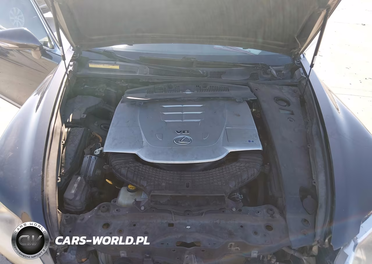 2010 Lexus Ls 460 VIN:JTHBL5EF3A5096560 - 10