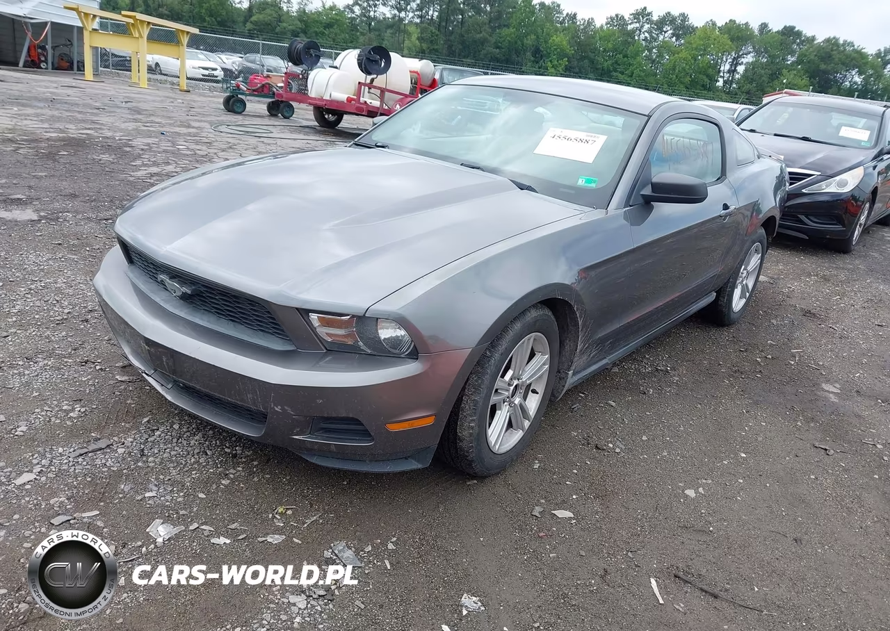 2010 Ford Mustang V6-V6 Premium VIN:1ZVBP8AN3A5129039 - 2