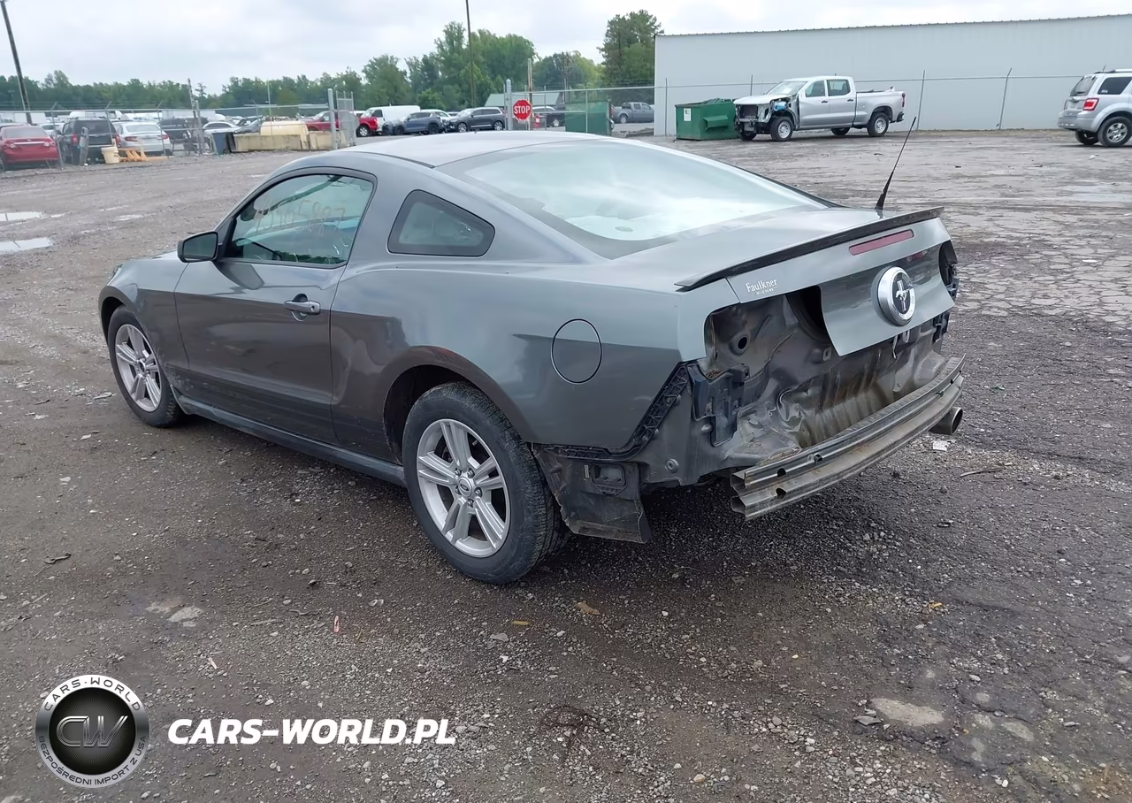 2010 Ford Mustang V6-V6 Premium VIN:1ZVBP8AN3A5129039 - 3
