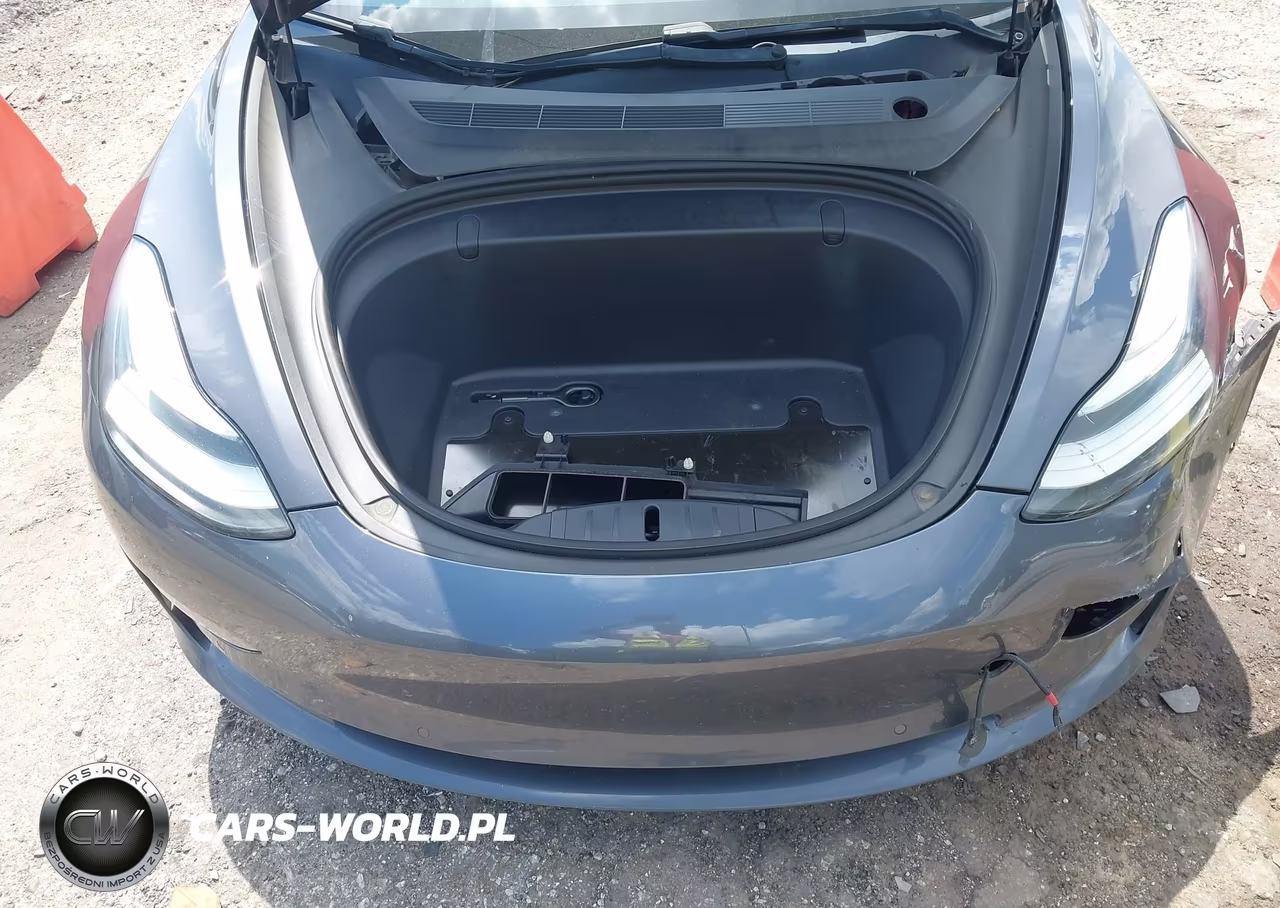 2019 Tesla Model 3 Long Range-Mid Range-Standard Range-Standard Range Plus VIN:5YJ3E1EA4KF306807 - 10