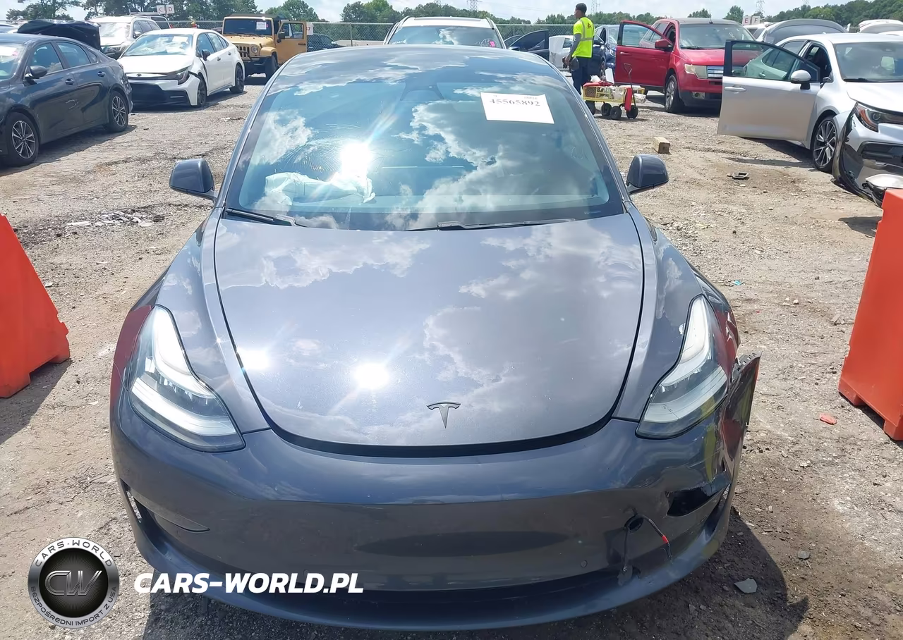 2019 Tesla Model 3 Long Range-Mid Range-Standard Range-Standard Range Plus VIN:5YJ3E1EA4KF306807 - 13