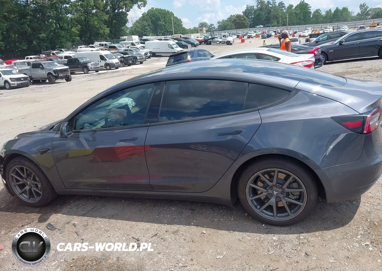 2019 Tesla Model 3 Long Range-Mid Range-Standard Range-Standard Range Plus VIN:5YJ3E1EA4KF306807 - 15