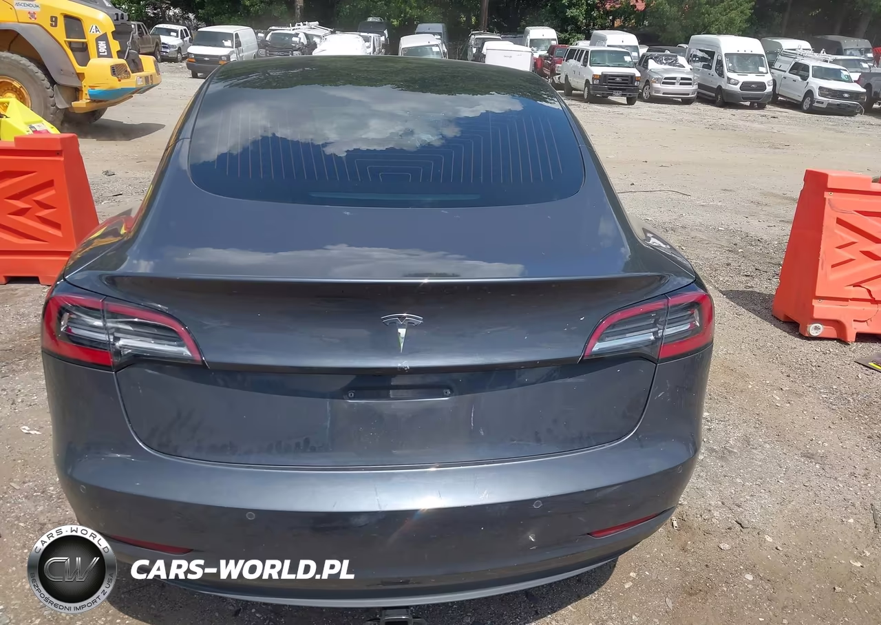 2019 Tesla Model 3 Long Range-Mid Range-Standard Range-Standard Range Plus VIN:5YJ3E1EA4KF306807 - 17