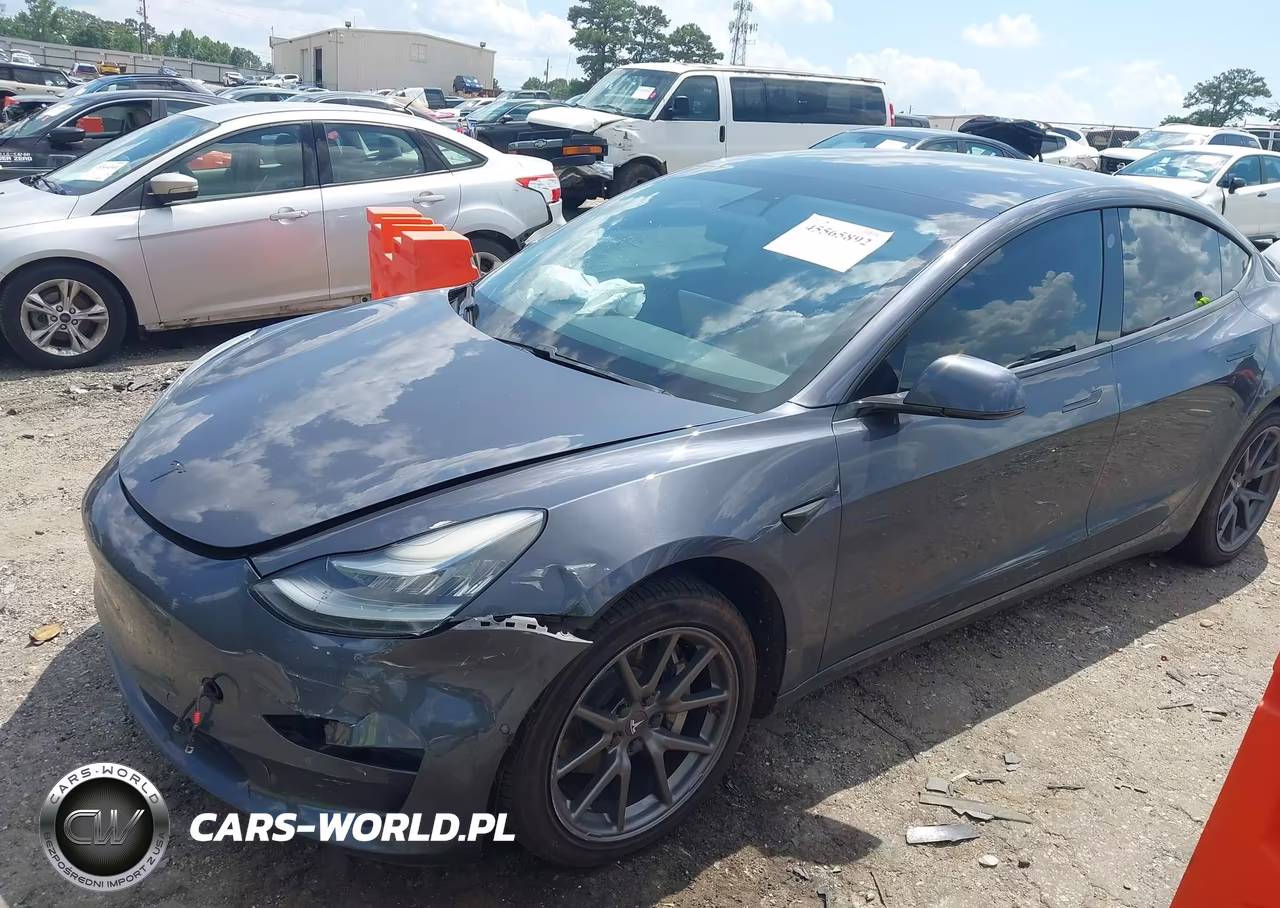 2019 Tesla Model 3 Long Range-Mid Range-Standard Range-Standard Range Plus VIN:5YJ3E1EA4KF306807 - 2