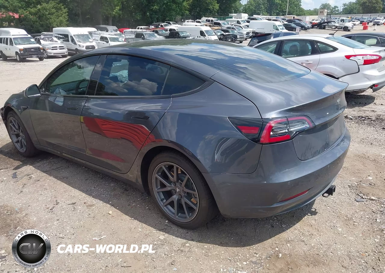 2019 Tesla Model 3 Long Range-Mid Range-Standard Range-Standard Range Plus VIN:5YJ3E1EA4KF306807 - 3