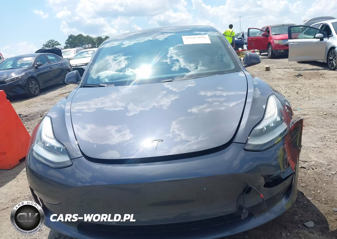 2019 Tesla Model 3 Long Range-Mid Range-Standard Range-Standard Range Plus VIN:5YJ3E1EA4KF306807 - 6