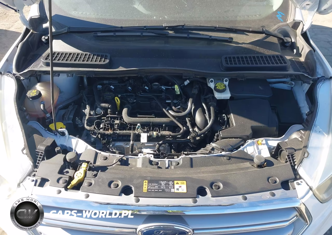 2017 Ford Escape Se VIN:1FMCU9GDXHUD45471 - 10