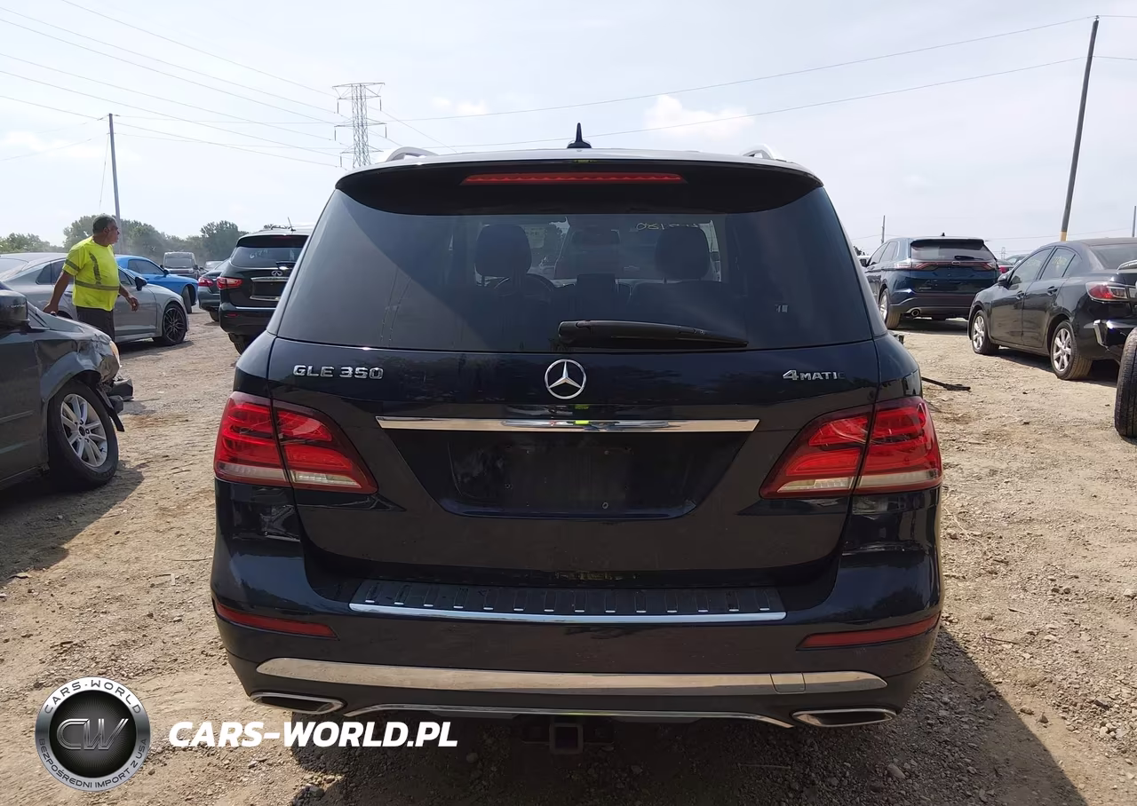 2017 Mercedes-Benz Gle 350 4Matic VIN:4JGDA5HB9HA962087 - 16