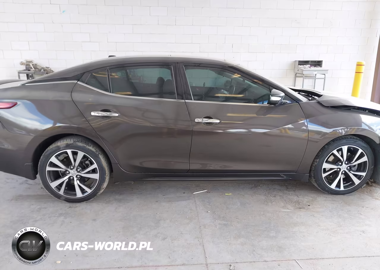 2016 Nissan Maxima 3.5 Platinum VIN:1N4AA6AP5GC393248 - 13