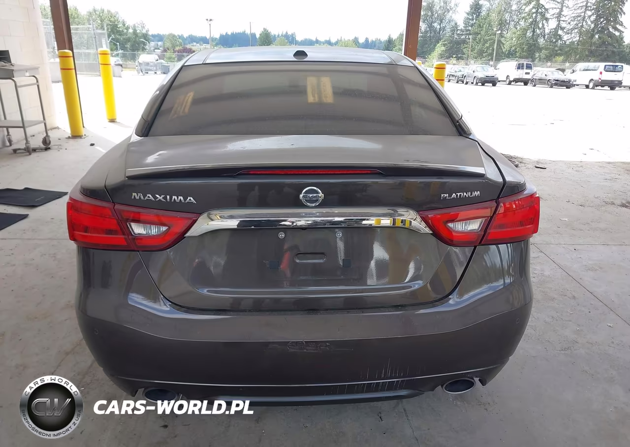2016 Nissan Maxima 3.5 Platinum VIN:1N4AA6AP5GC393248 - 16