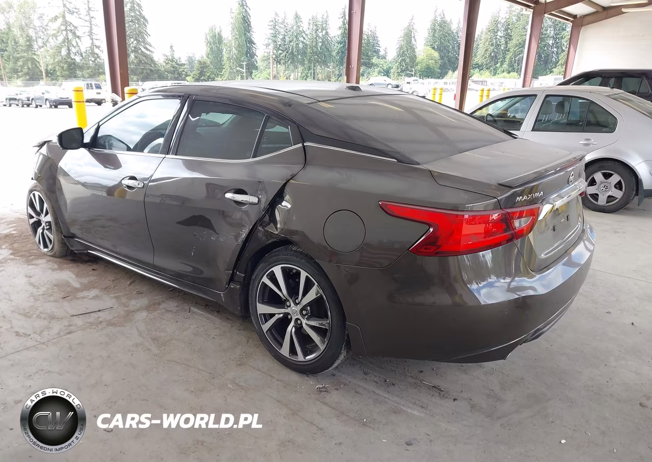 2016 Nissan Maxima 3.5 Platinum VIN:1N4AA6AP5GC393248 - 3