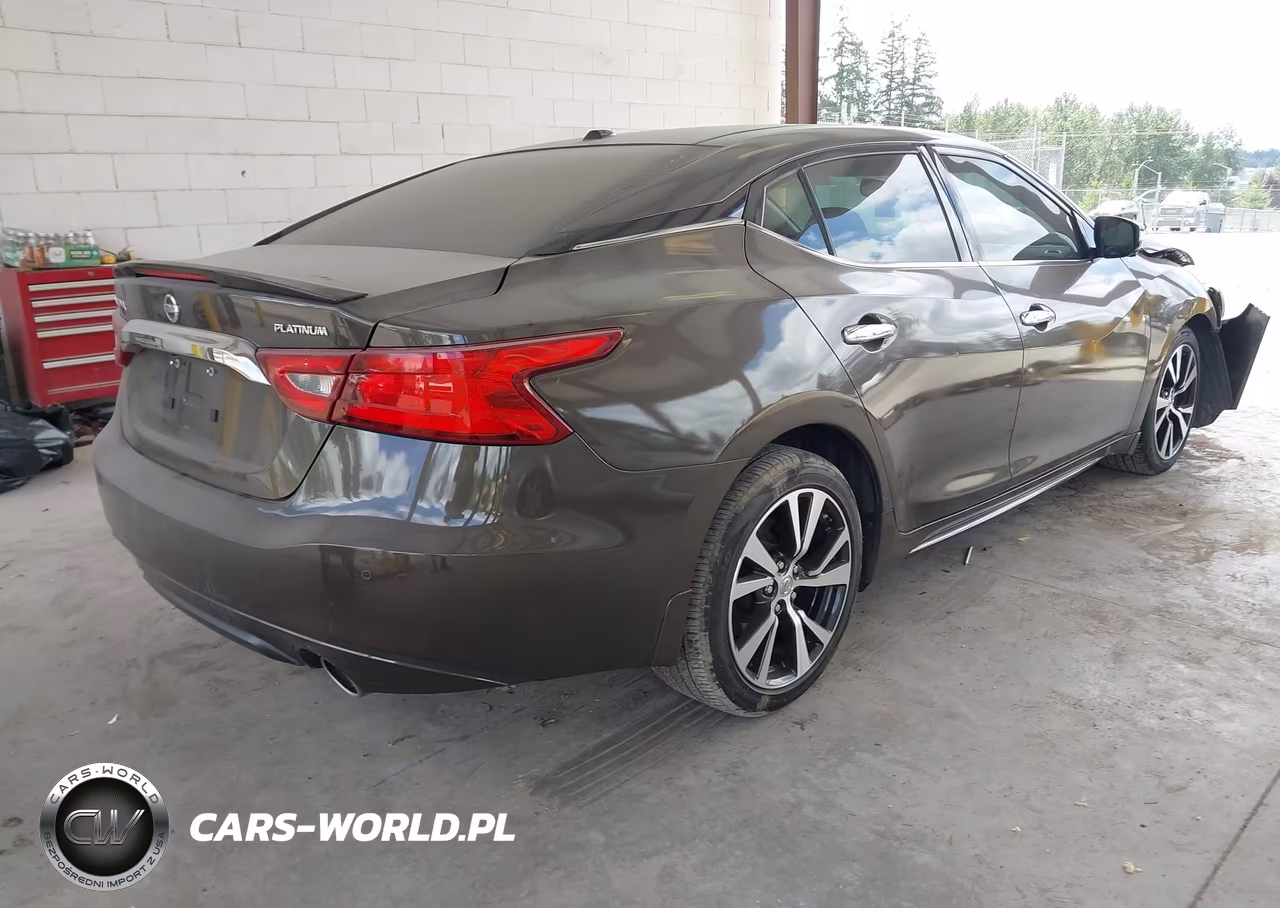 2016 Nissan Maxima 3.5 Platinum VIN:1N4AA6AP5GC393248 - 4