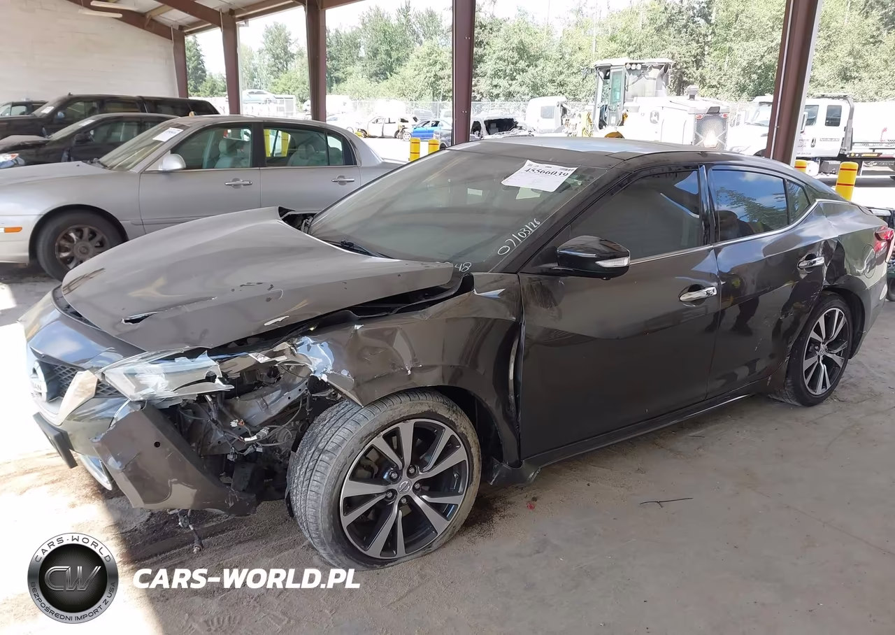 2016 Nissan Maxima 3.5 Platinum VIN:1N4AA6AP5GC393248 - 6