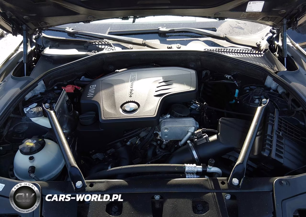 2016 BMW 528I VIN:WBA5A5C55GG353789 - 10