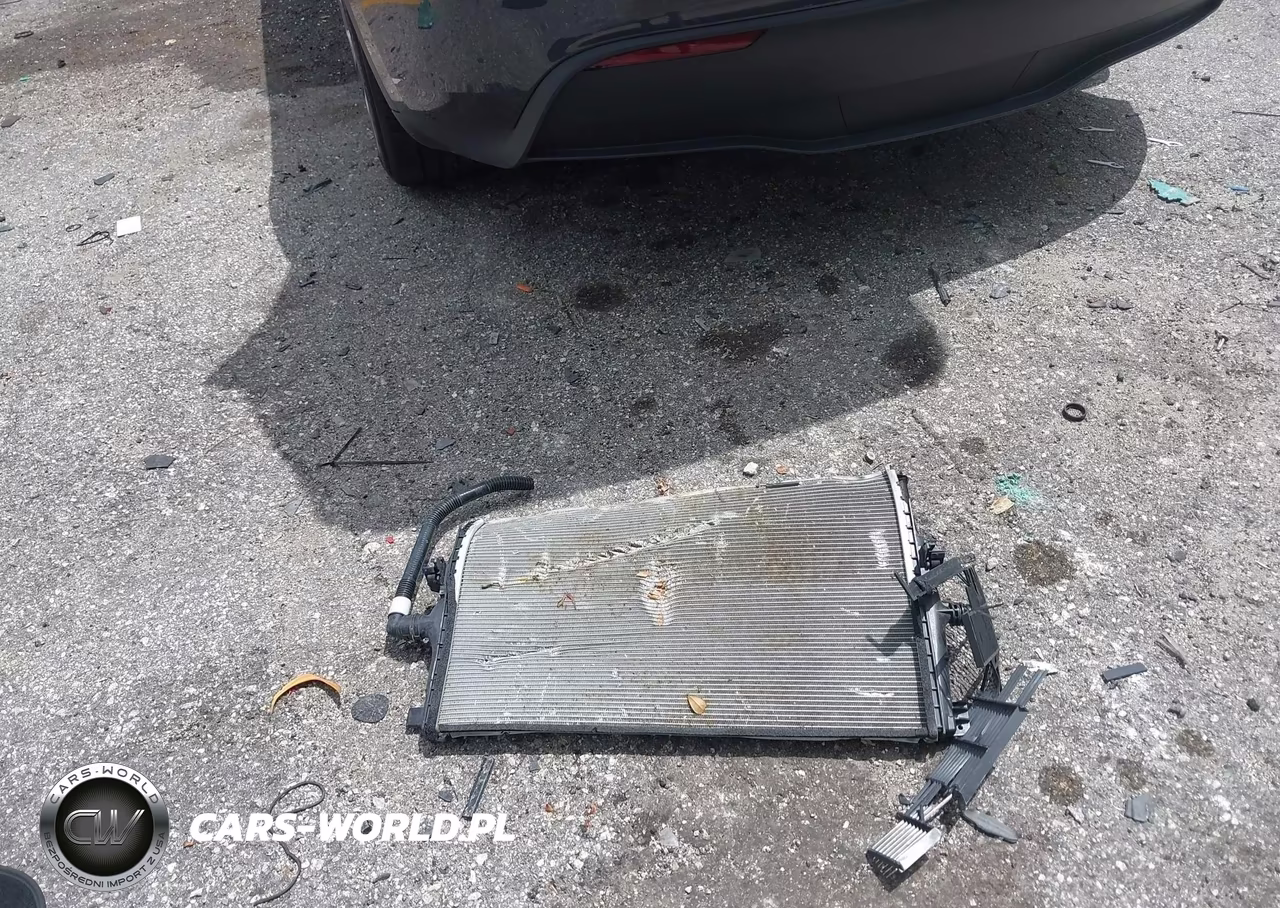 2024 Tesla Model Y Long Range Single Motor Rear-Wheel Drive-Rwd VIN:7SAYGDED1RF016663 - 10