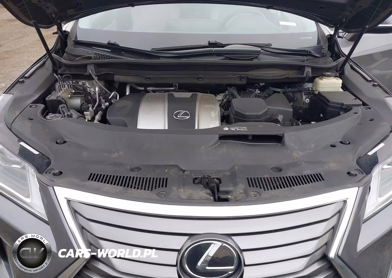 2017 Lexus Rx 350 VIN:2T2BZMCA9HC118278 - 10