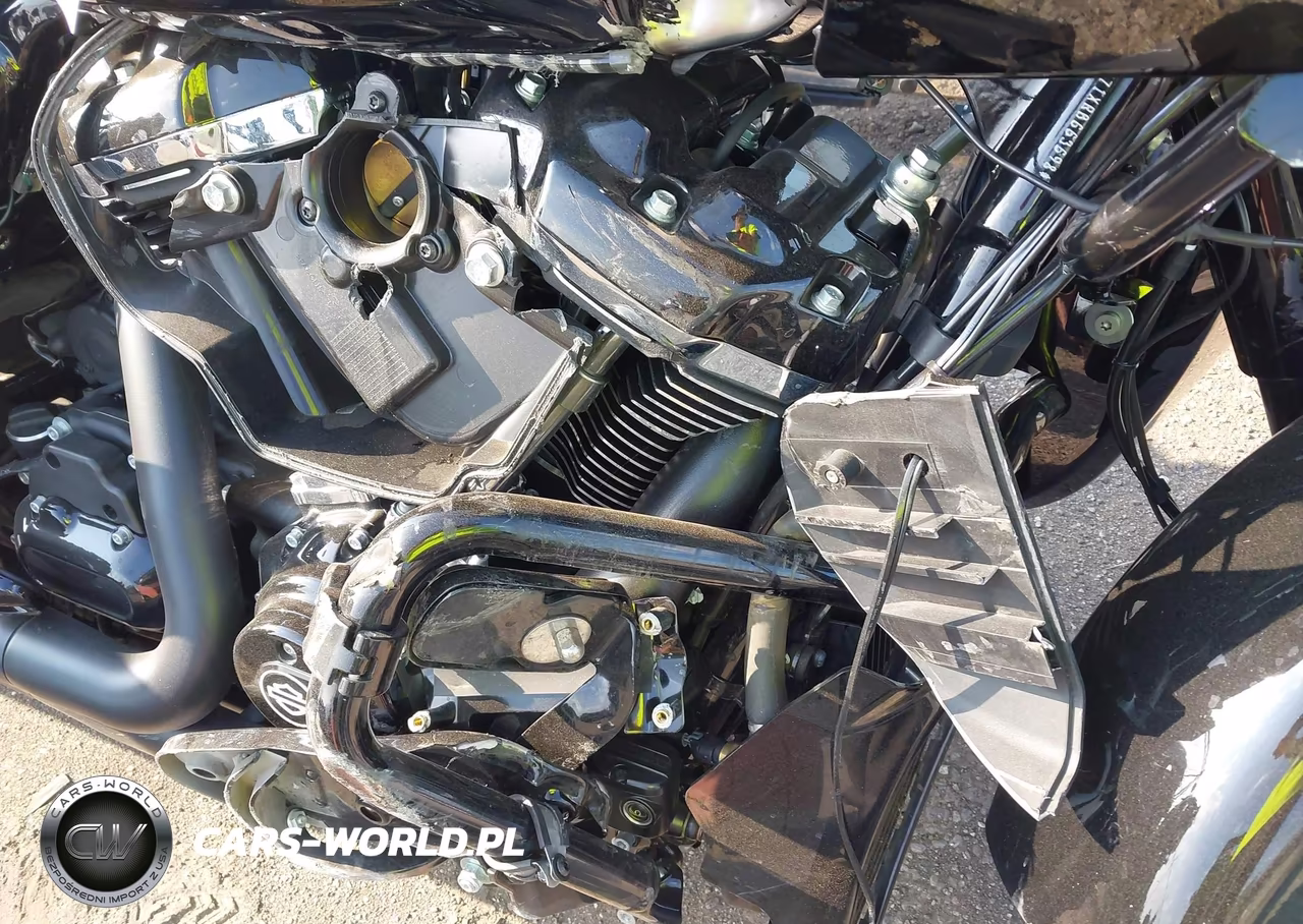 2024 Harley-Davidson Fltrx VIN:1HD1KH71XRB663698 - 8