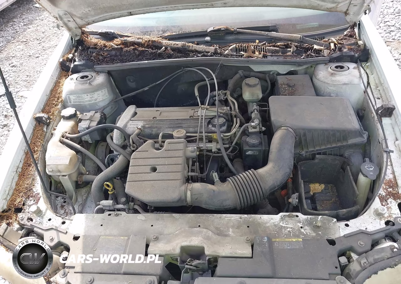 2004 Chevrolet Classic VIN:1G1ND52F74M576166 - 10