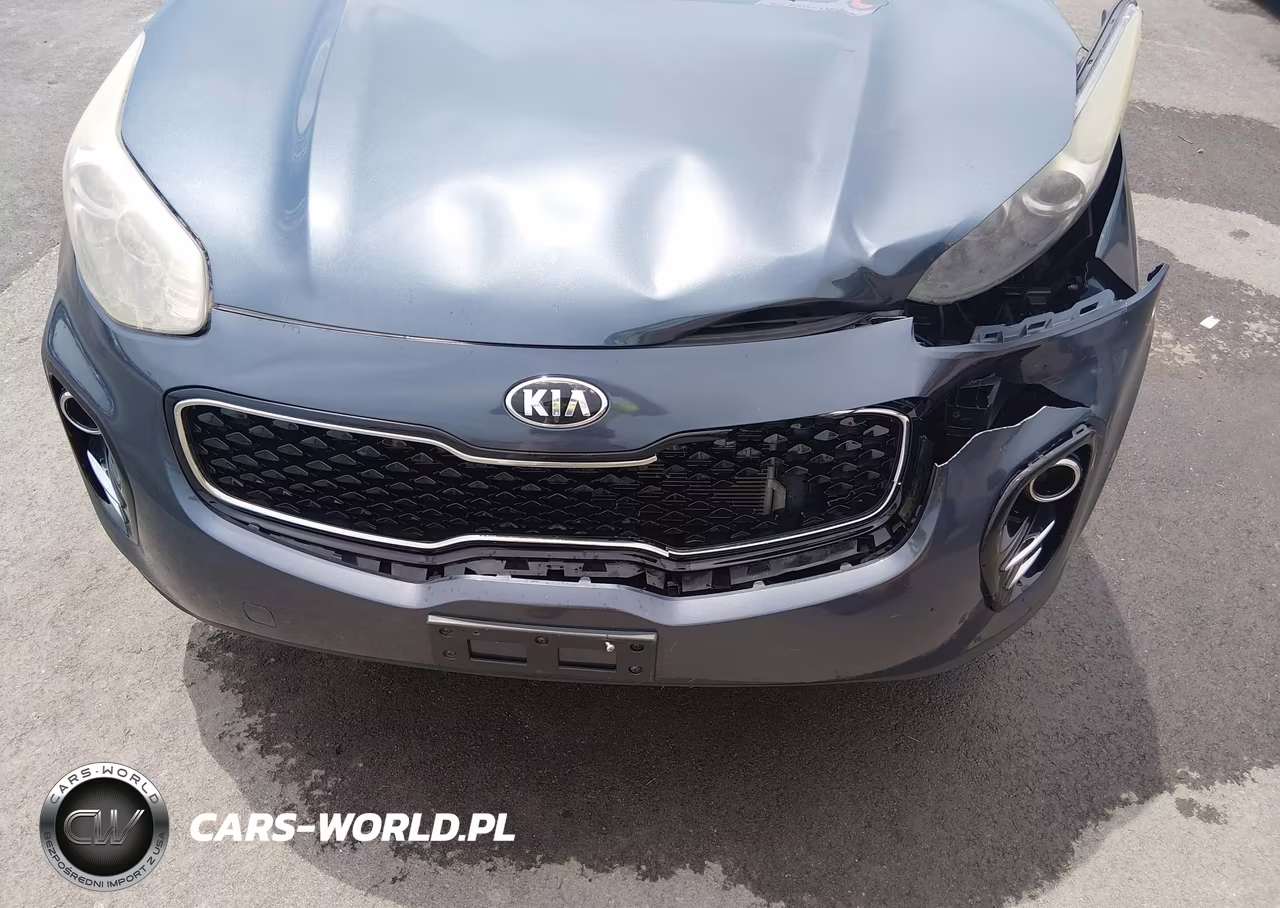 2017 Kia Sportage Lx VIN:KNDPMCAC3H7033008 - 19