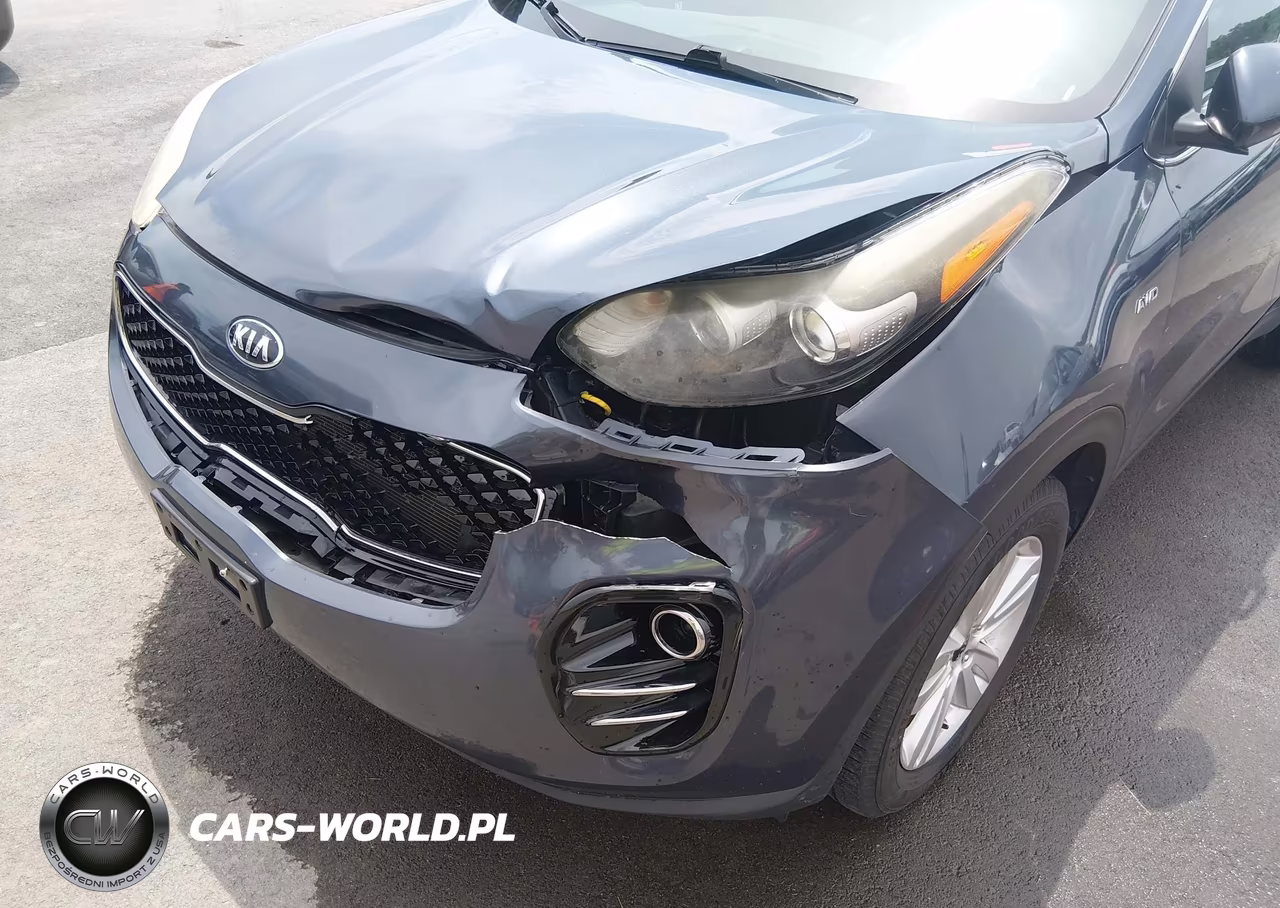 2017 Kia Sportage Lx VIN:KNDPMCAC3H7033008 - 6