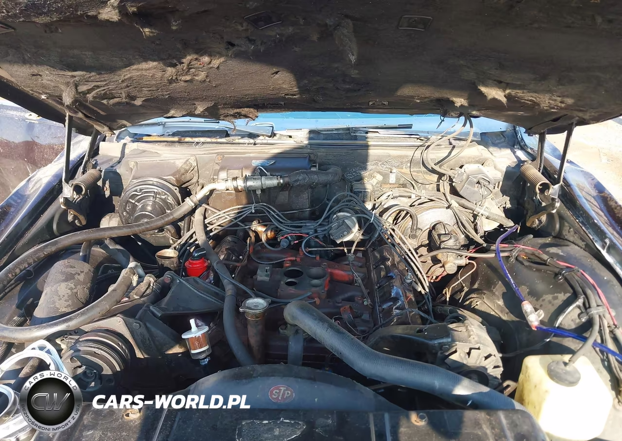 1969 Oldsmobile 98 VIN:0000384579M182301 - 10