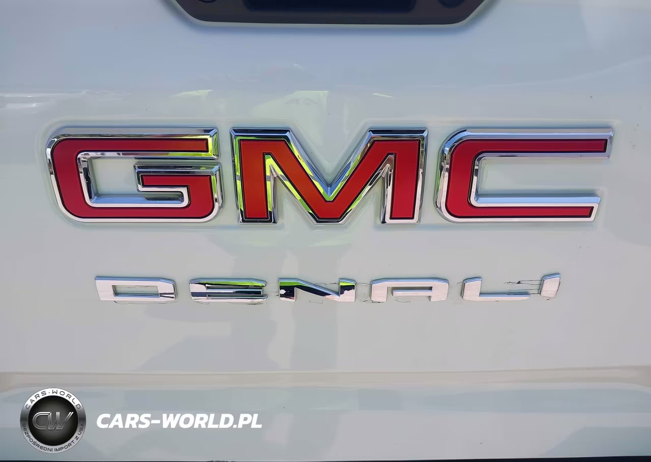 2023 GMC Sierra 3500Hd 4Wd Long Bed Pro VIN:1GT49SEY8PF220169 - 19