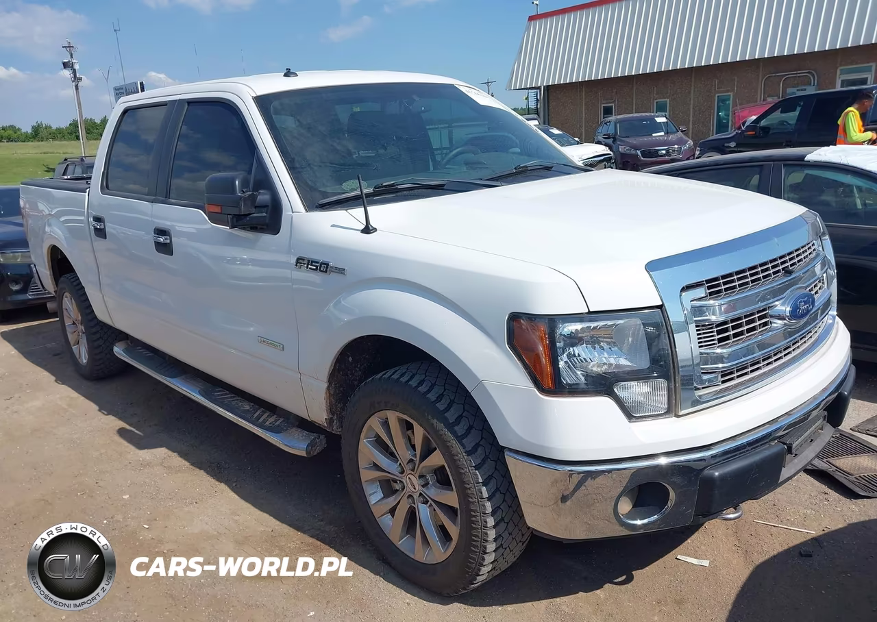 2013 Ford F-150 Xlt – zdjęcie 1 z 17