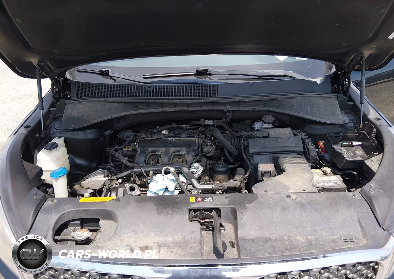 2017 Kia Sorento 3.3L Sx VIN:5XYPKDA53HG319666 - 10
