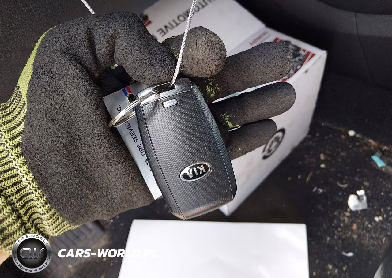 2017 Kia Sorento 3.3L Sx VIN:5XYPKDA53HG319666 - 11