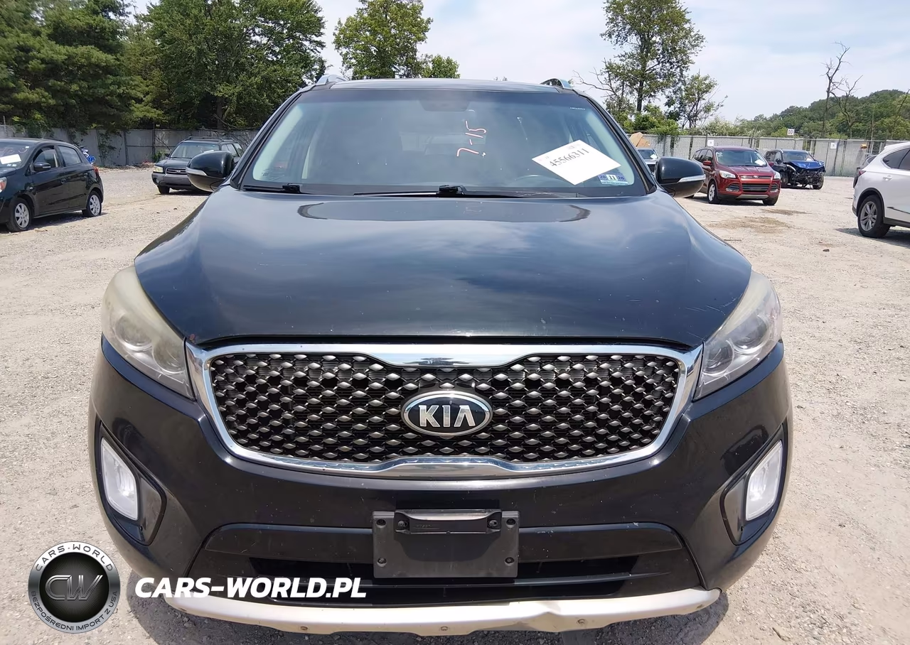2017 Kia Sorento 3.3L Sx VIN:5XYPKDA53HG319666 - 12